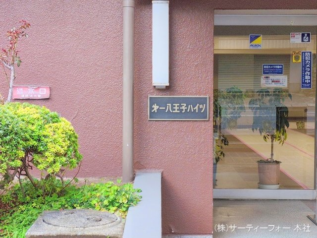 撮影日(2025-03-17 00:00:00)