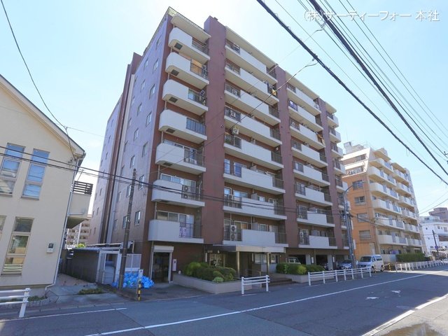 撮影日(2024-08-01 00:00:00)
