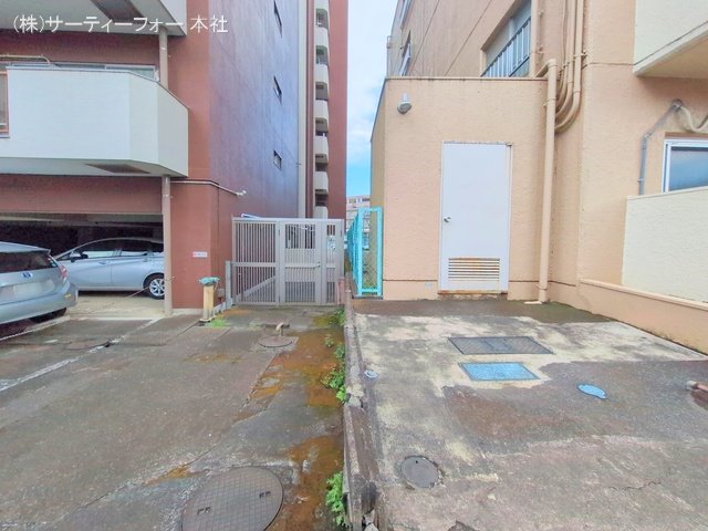 撮影日(2025-03-17 00:00:00)