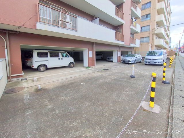 撮影日(2025-03-17 00:00:00)