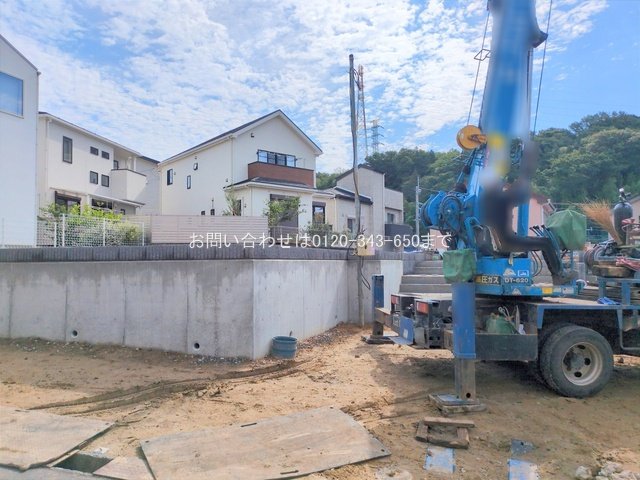 撮影日(2025-06-12 00:00:00)