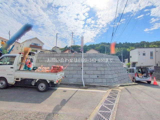 撮影日(2025-06-12 00:00:00)