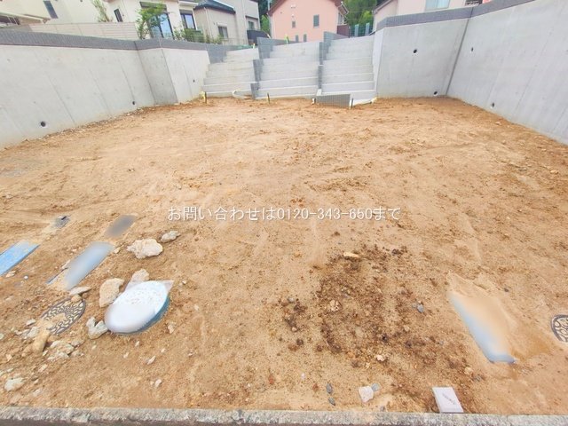 撮影日(2025-05-27 00:00:00)