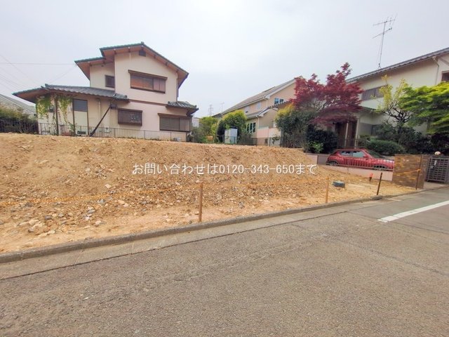 撮影日(2025-04-18 00:00:00)