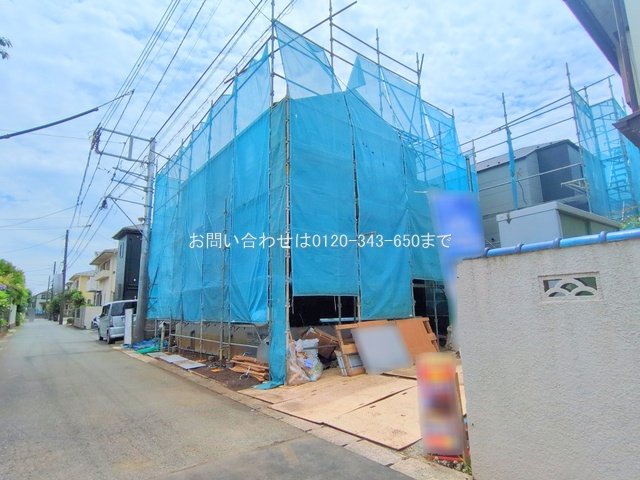撮影日(2025-06-12 00:00:00)