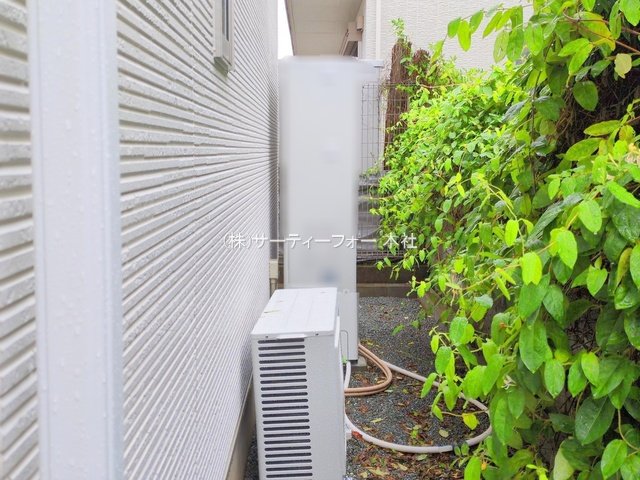 撮影日(2025-06-03 00:00:00)