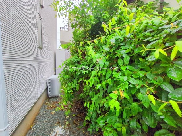 撮影日(2025-06-03 00:00:00)