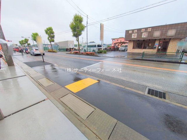 撮影日(2025-06-03 00:00:00)