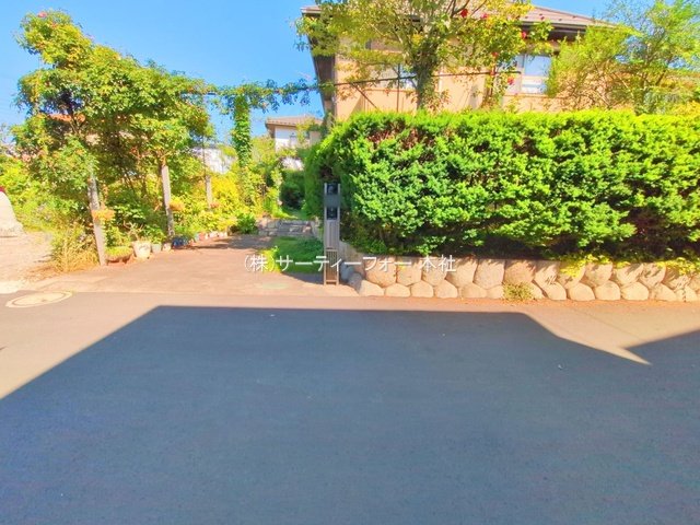 撮影日(2025-06-17 00:00:00)