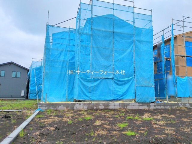 撮影日(2025-05-12 00:00:00)