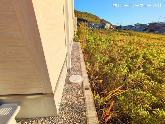 撮影日(2024-11-25 00:00:00)