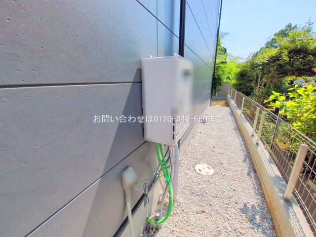撮影日(2025-06-30 00:00:00)