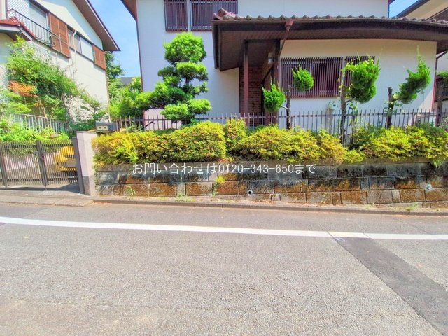 撮影日(2025-06-30 00:00:00)