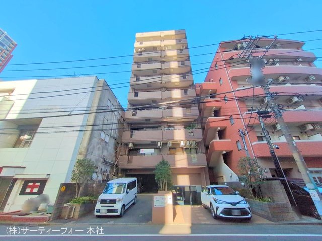 撮影日(2025-02-19 00:00:00)