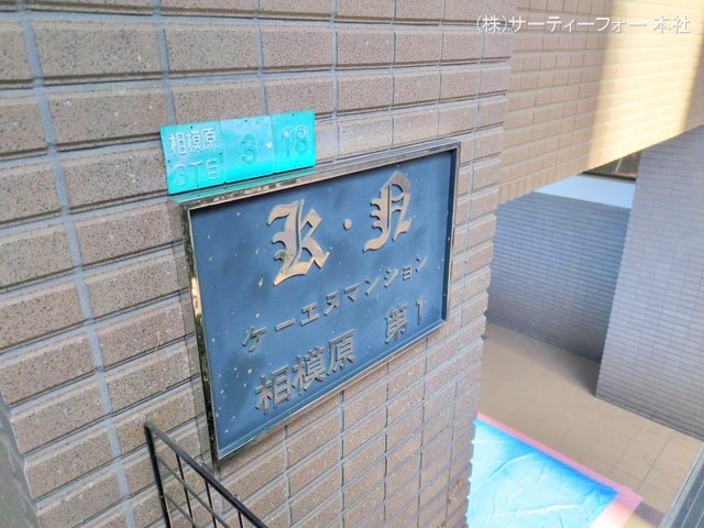 撮影日(2025-02-19 00:00:00)