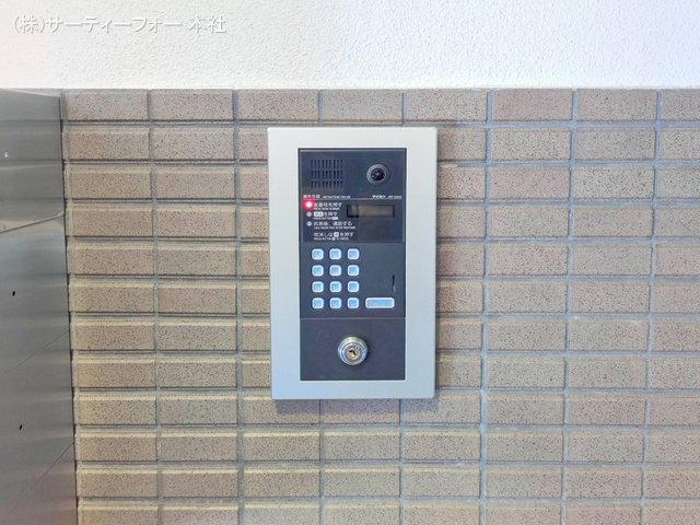 撮影日(2025-02-19 00:00:00)