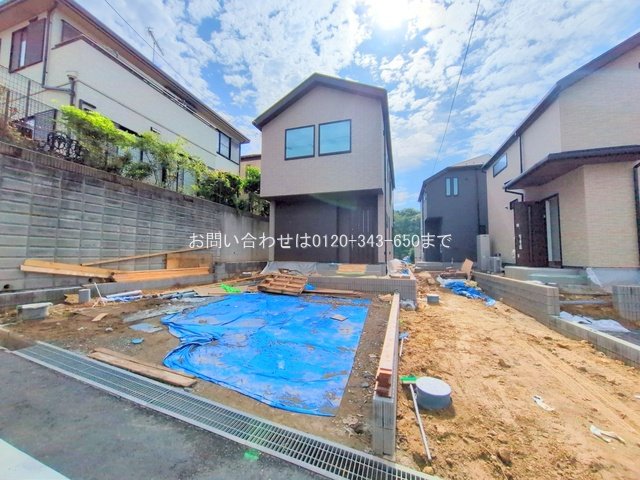 撮影日(2025-06-12 00:00:00)