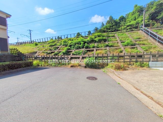 撮影日(2025-06-27 00:00:00)