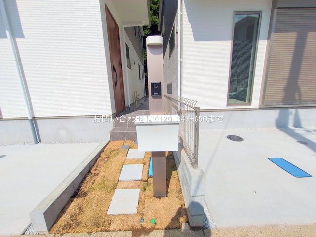 撮影日(2025-06-27 00:00:00)