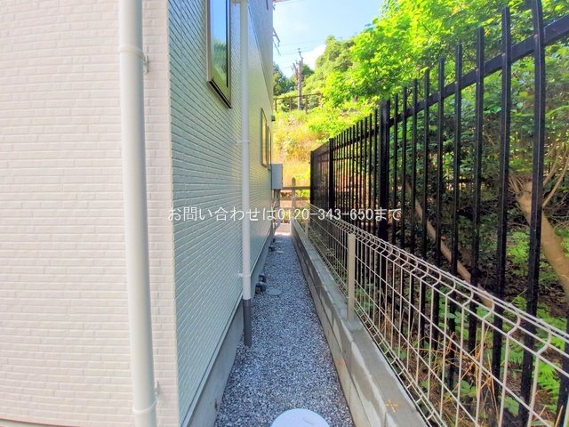 撮影日(2025-06-27 00:00:00)