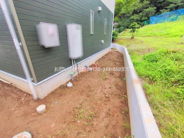 撮影日(2025-06-13 00:00:00)