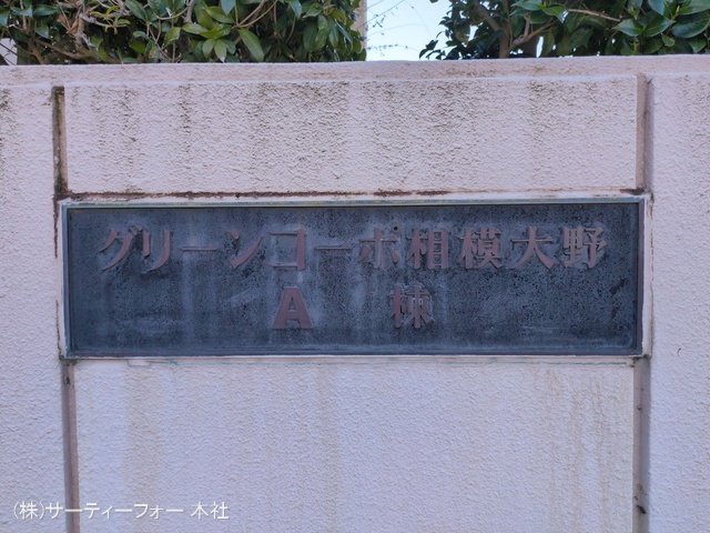 撮影日(2025-01-09 00:00:00)