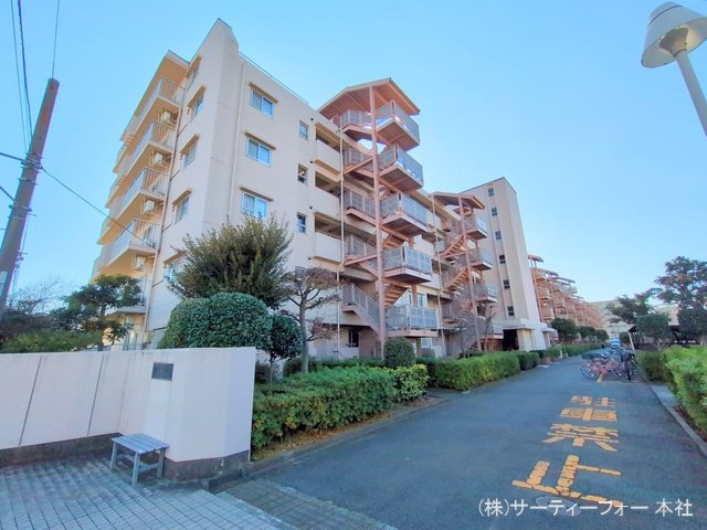 撮影日(2025-01-09 00:00:00)