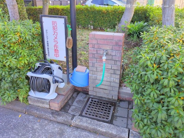 撮影日(2025-01-09 00:00:00)