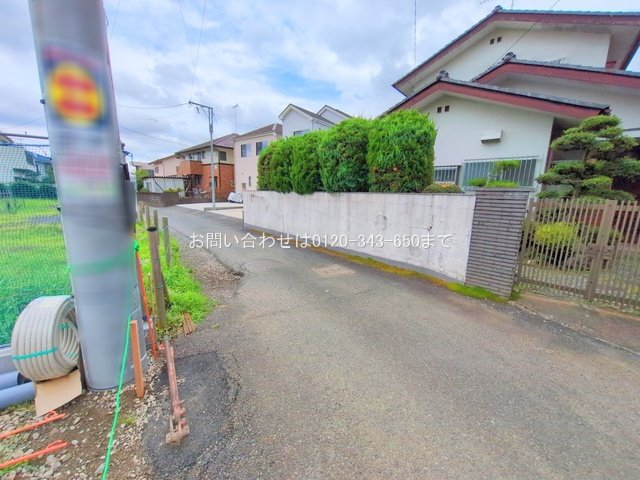 撮影日(2025-06-26 00:00:00)