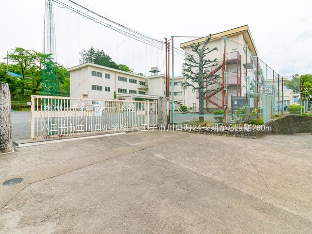八王子市立川口小学校 撮影日(2022-04-27) 290m
