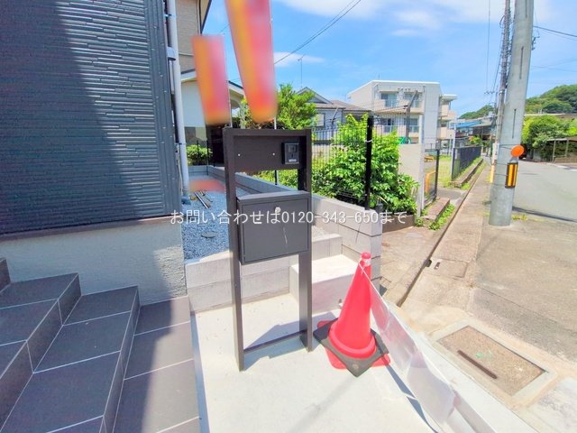 撮影日(2025-06-30 00:00:00)