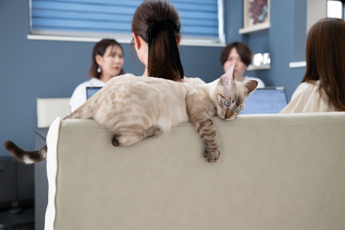 ■ 家づくりの決め手は“標準仕様の充実”と“コストパフォーマンスの良さ”